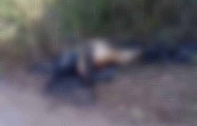 Com rosto e pernas queimadas, corpo de homem é localizado em Parnamirim
