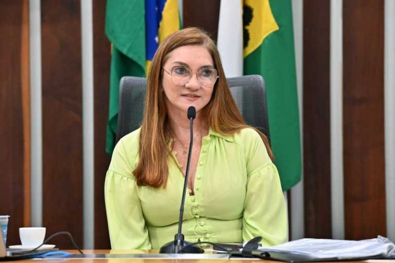 Deputada Terezinha Maia já apresentou 15 PLs e aprovou quatro leis; entre elas a que destina vagas de trabalho para mulheres vítimas de violência doméstica