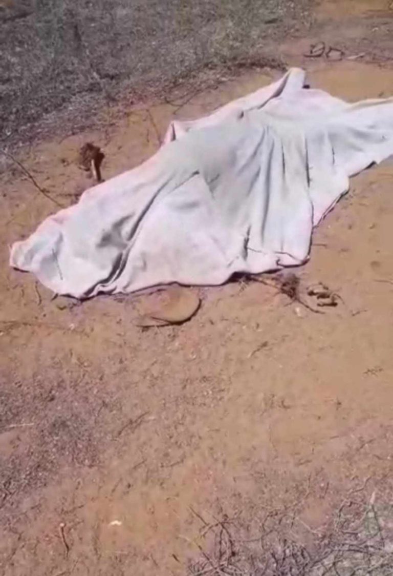 Corpo em avançado estado de decomposição é encontrado.