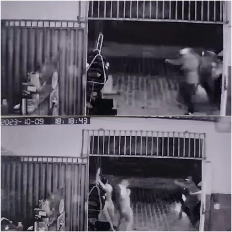 Homens armados descem de veículo, atiram contra grupo de pessoas, matam um e fere três em Felipe Camarão
