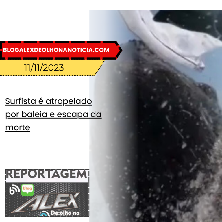 Surfista é atropelado por baleia e escapa da morte