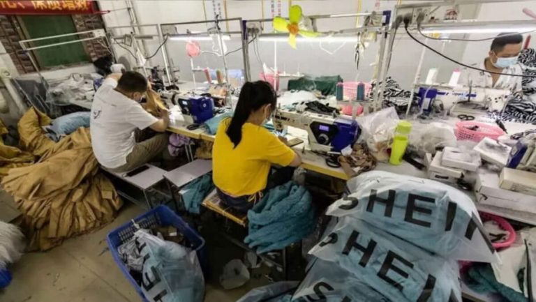 SHEIN no RN: Sedec não sabe quais fatores estão dificultando produção