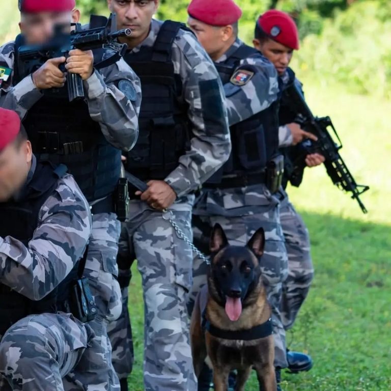 OPERAÇÃO PAZ: Ações de combate a homicídios no RN completam três meses com 460 pessoas presas