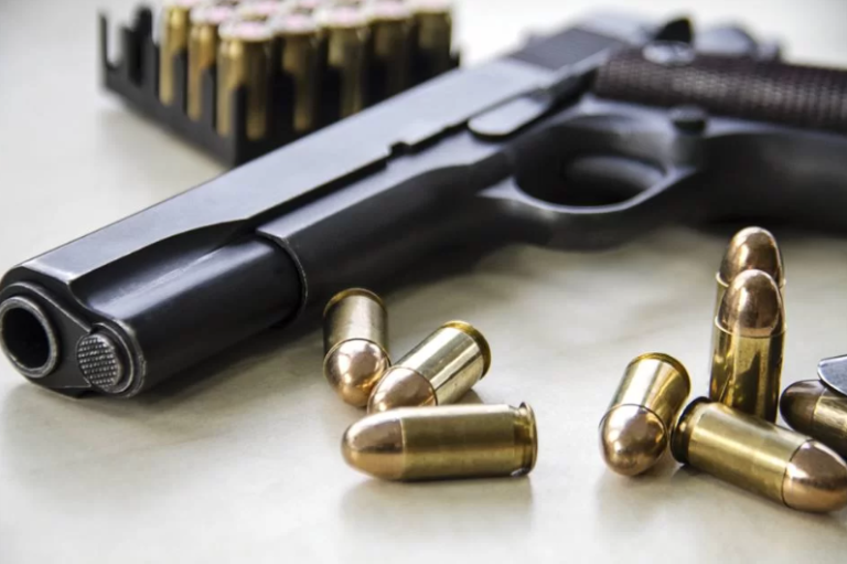 Registro de armas para defesa pessoal é o menor desde 2004