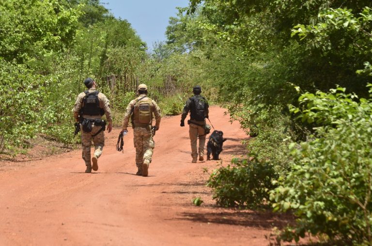 Sinal de celulares levados por fugitivos apontou presença na divisa do RN com CE
