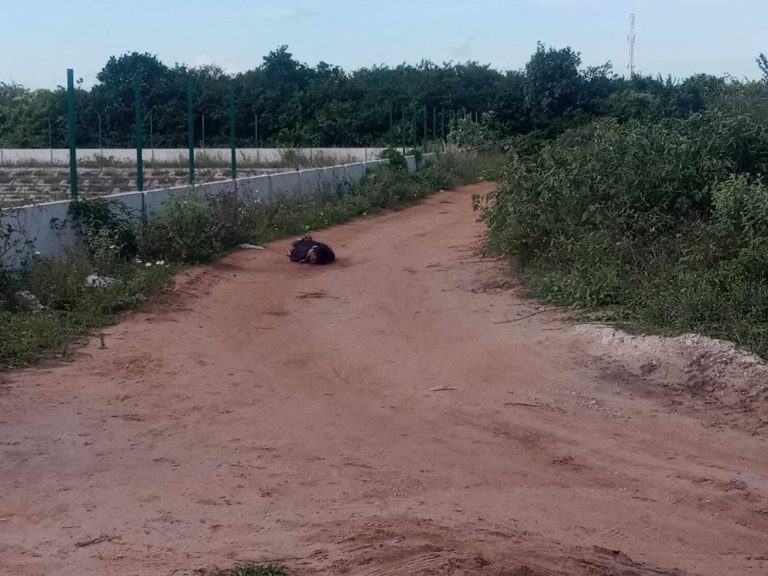 Urgente/imagens fortes.: homem é executado a tiros com mãos e pés amarrados no RN.