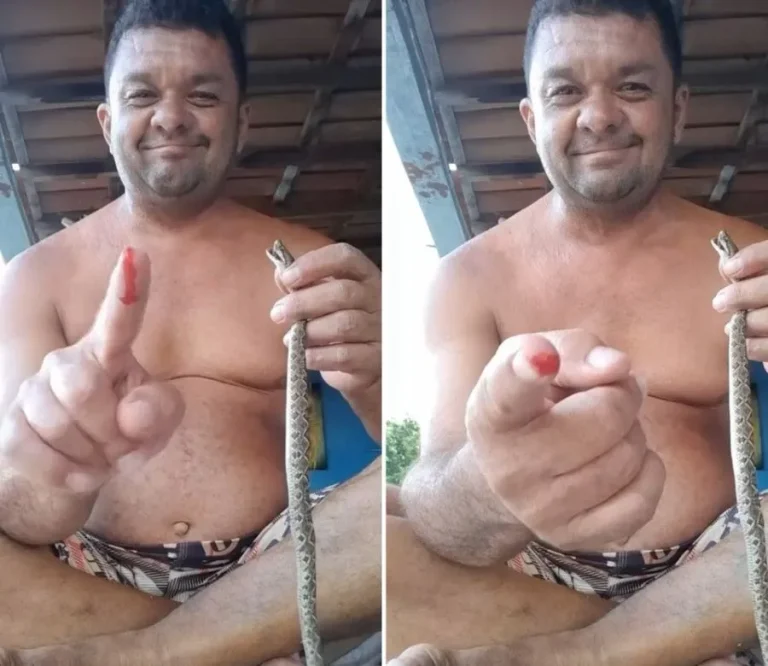 Homem passa mal após vídeo brincando com cobra no interior do RN; polícia faz alerta para a população