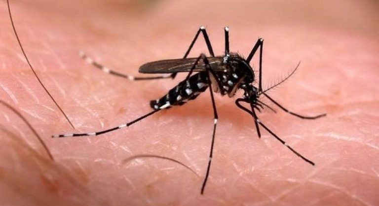 Natal decreta situação de emergência por epidemia de dengue