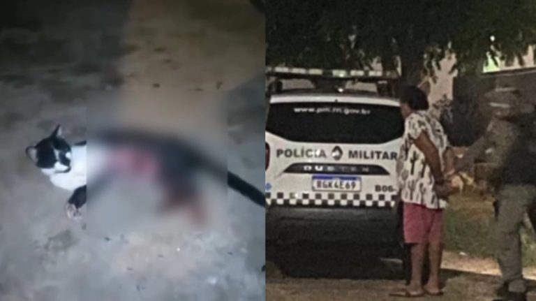 Gato agoniza depois de ser esfaqueado em Jardim do Seridó; Polícia age rápido e prende suspeito