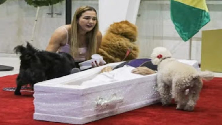 Velório de Nahim na Alesp tem caixão no chão para cães se despedirem.