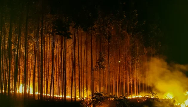 Brasil é o segundo da América do Sul com mais focos de incêndio em seis meses