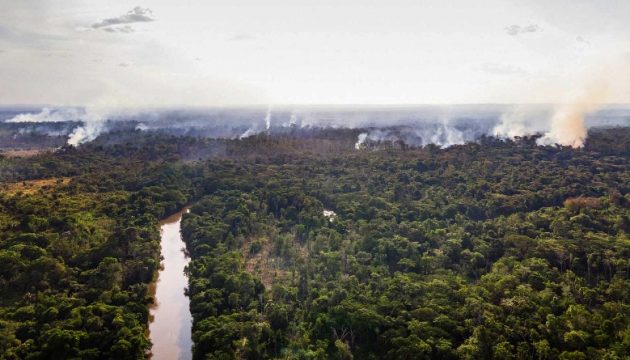 Amazônia vive recorde de incêndios em 20 anos; brigadistas se preparam para seca extrema