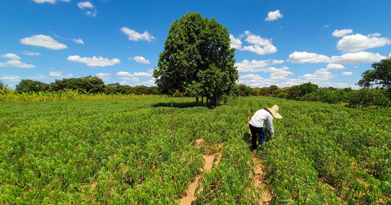 Plano Safra 2023/2024 aumenta recursos para a agricultura familiar no RN