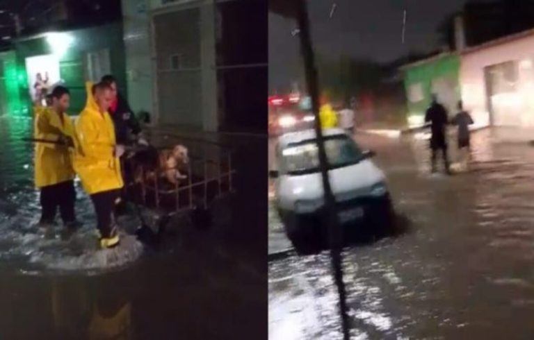 Bombeiros resgatam duas pessoas com deficiência visual e animais de alagamento em Natal