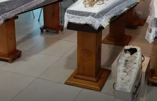 Cachorrinha que morreu em grave acidente junto com tutor e suas duas filhas, é velada ao lado da família. Cachorrinha que morreu em grave acidente junto com tutor e suas duas filhas, é velada ao lado da família.